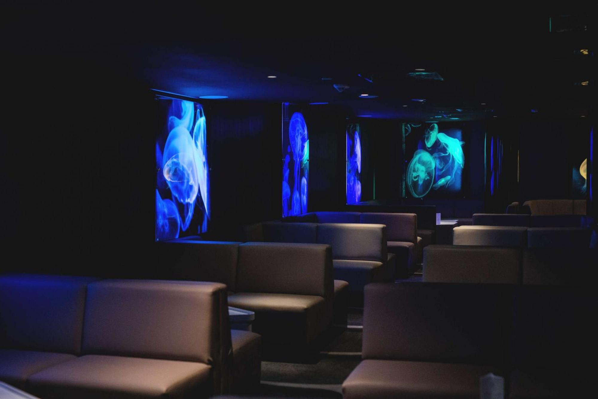 斯维诺乌伊希切丽笙布鲁酒店 外观 照片 The photo shows a dimly lit interior space, likely a lounge or a seating area. The walls are adorned with glowing blue and turquoise images, possibly of jellyfish or abstract aquatic forms, creating an ambient atmosphere. There are several upholstere
